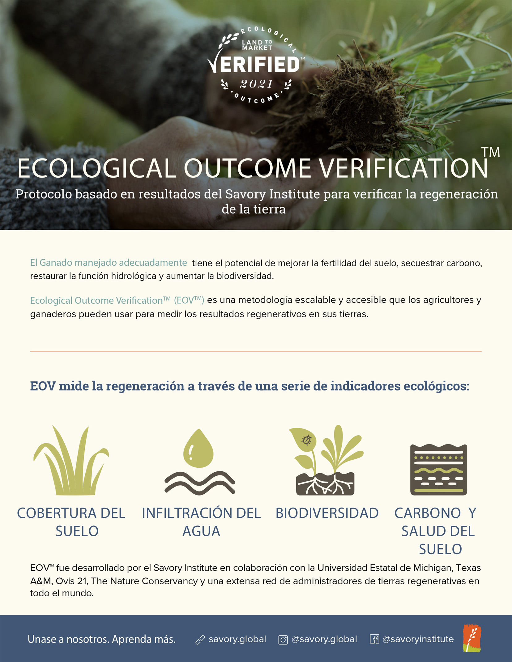 Savory-EOV-Onepager_v4.indd